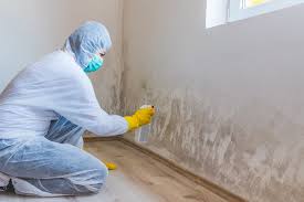 Best Mold Documentation for Insurance Claims  in Brooklawn, NJ